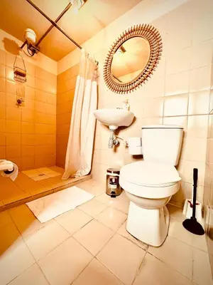 a bathroom with a toilet and a sink and a mirror at The best of Envigado, close to everything in Envigado