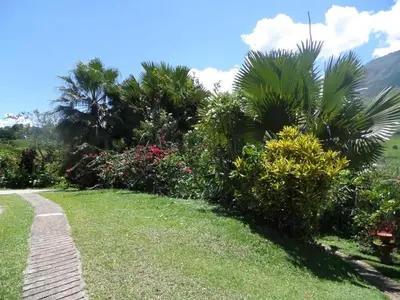 a garden with palm trees and a path at Finca Arcanos Celeste in Barbosa