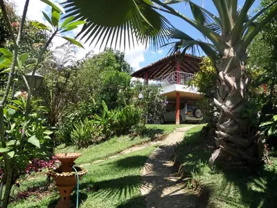 a palm tree in front of a house at Finca Arcanos Celeste in Barbosa