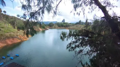 a river with a bunch of boats in it at Chalet los naranjos in La Pradera