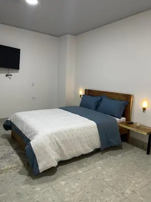 a bedroom with a large bed and a desk at Casa Selva in San Carlos