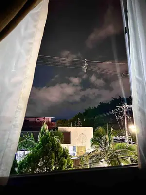 a view from a window of a building with palm trees at AC Laureles Fast Internet for Nomads 5 Floor in Medellín