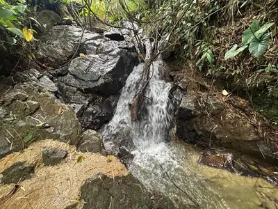 a small waterfall on the rocks in the forest at Cabaña Selvática y Manantiales, San Miguel Guarne in Guarne
