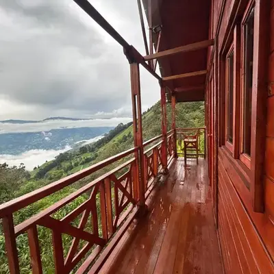 Cabaña Selvática y Manantiales