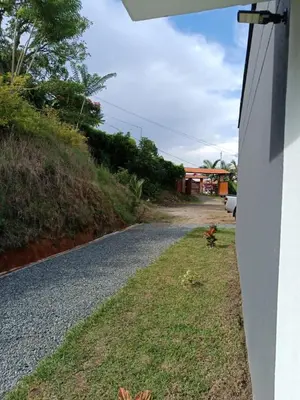 a dog standing on the side of a road at Villa Antonia in Santagueda