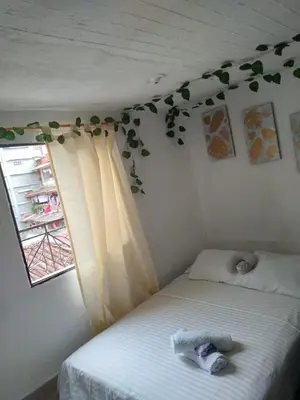 a bedroom with a bed and a window with ivy at DESTINY Apto Parque in San Rafael