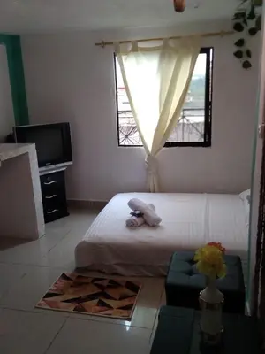a bedroom with a white bed and a window at DESTINY Apto Parque in San Rafael