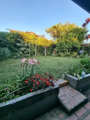 a garden with some flowers in a yard at Good Vibes El Víboral in Carmen de Viboral