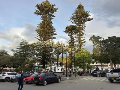 a group of trees in a parking lot with cars at Hermoso Apartamento Amoblado in Aguadas