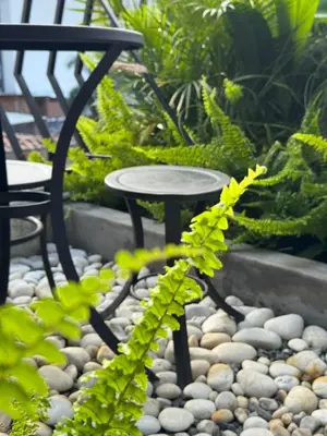 a patio with a table and chairs and plants at Hostel43 in Estación El Salto
