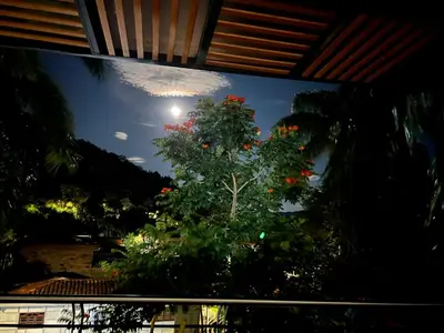 a view of a tree with red flowers in a window at La terraza 2 in Ciudad Bolívar