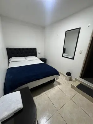 Gallery image of Hotel Cañaveral Plaza 2 in Manizales