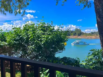 a boat on a lake with a tree at El Trebol in Guatapé