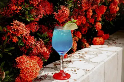 a glass of blue liquid with a lime in it at Sky Natural Museum in Santa Fe de Antioquia
