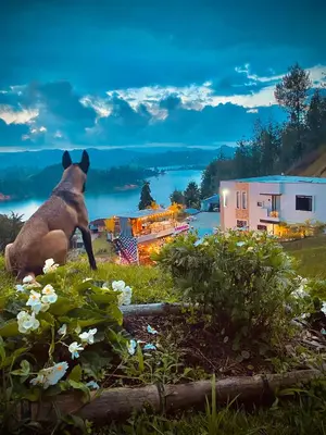a statue of a bear sitting in the grass at MORITZ By MONTE GANDOLFO in Chiquinquirá