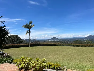 a palm tree and a lawn with a palm tree at Casa de Campo, La Suiza in La Ceja, Antioquia in La Ceja