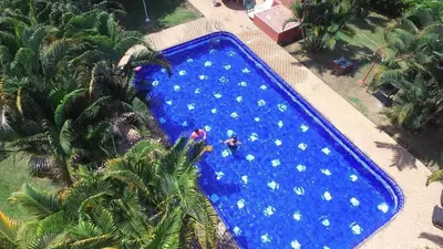 an overhead view of a large swimming pool with palm trees at Finca Las Dos Palmas, San Jeronimo in San Jerónimo