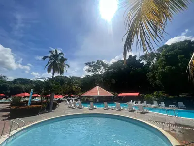 a swimming pool with chairs and a palm tree at Hostería Florida Tropical in Santa Fe de Antioquia