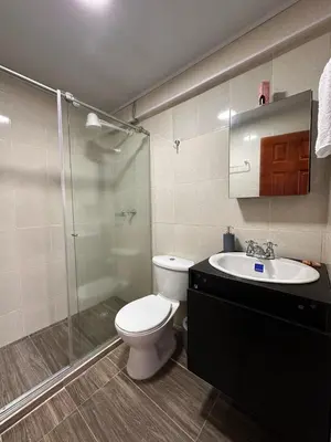 a bathroom with a toilet and a shower and a sink at Apartaestudios Santa Ana in Ruiosucio