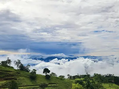 Gallery image of Mi Paraiso Escondido, Tamesis in Támesis