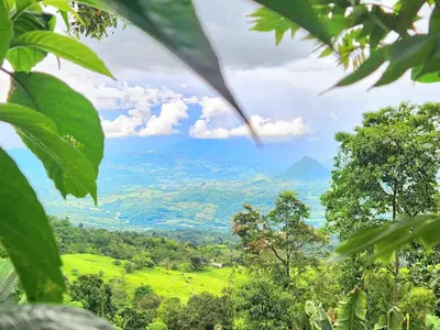 Gallery image of Mi Paraiso Escondido, Tamesis in Támesis