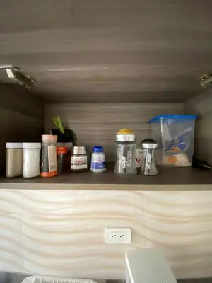 a shelf with cups and other items on it at Acogedor apartamento cerca al tranvía 201 in Medellín