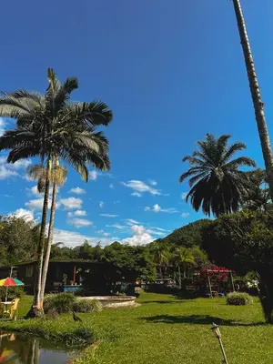 two palm trees in a park with a body of water at Escápate Sonata in Chinchiná
