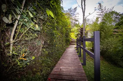 a wooden path with a fence on the side at Hermosa Casa y Cabañas en Barbosa, Antioquia in Barbosa