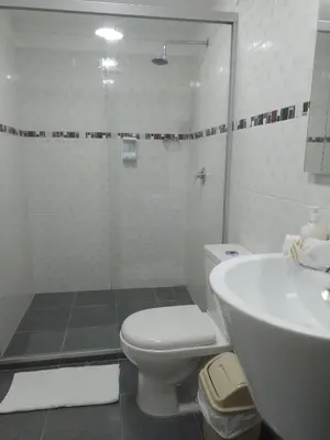 a bathroom with a toilet and a shower and a sink at Relax West Finca Hotel in Santa Fe de Antioquia