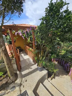 a porch of a house with a tree and flowers at Finca El Encanto in Jericó