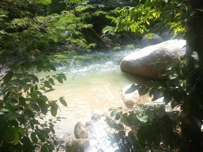 a stream of water with rocks in a forest at Rincón del río in San Carlos