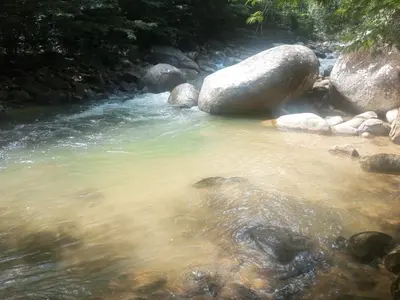 a river with rocks and a large boulder in the water at Rincón del río in San Carlos