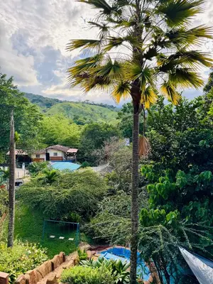 a palm tree in a garden next to a pool at Cabaña Verdeazul in San Rafael