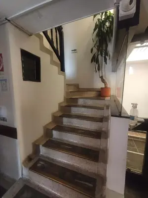 a staircase in a building with a potted plant at Hotel ZONA ROSA MARINILLA in Marinilla