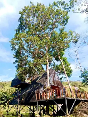 a tree house with a deck under a tree at Cabaña del rio, San Luis, Antioquia in San Luis