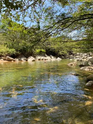 a river with rocks and trees in the water at Cabaña del rio, San Luis, Antioquia in San Luis