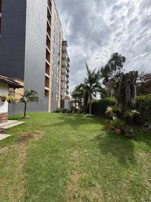 a grassy yard in front of a building with palm trees at Casa San Antonio de Pereira in Rionegro