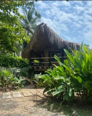 a hut with a thatched roof in a garden at Cabaña ecologica en el Rio Cocorna, Puerto Triunfo in Providencia