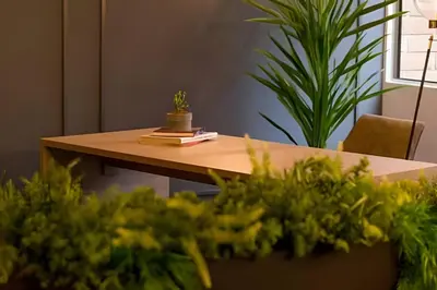 a wooden table with a potted plant on top of it at Condado 204 - Eco Apt/Natural Atmosphere in El Poblado