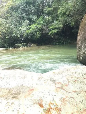 a river with green water and trees in the background at Refugio Cumaná in San Rafael