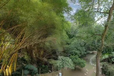 a view of a river with trees and a path at San Angel 205-Familiar & Trendy apt near Provenza in El Poblado