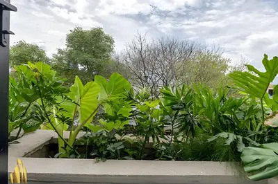 a garden with green plants and trees at Solei Loft 401 - Elegance & Comfort /AC in Poblado in El Poblado