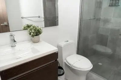 a bathroom with a toilet and a sink and a shower at Hotel Quinta del Café in Fredonia