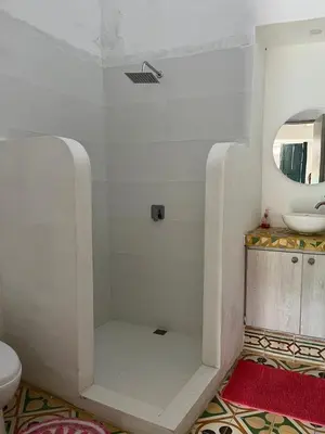 a bathroom with a shower with a sink and a mirror at Hotel Art Boutique Las Cardenas in Carolina del Principe