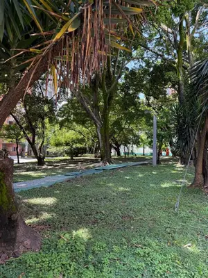 a park with a bunch of trees and a path at Apartamento con excelente ubicación, Laureles in Medellín