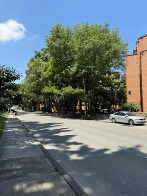 a car parked on the side of a street with trees at Apartamento con excelente ubicación, Laureles in Medellín