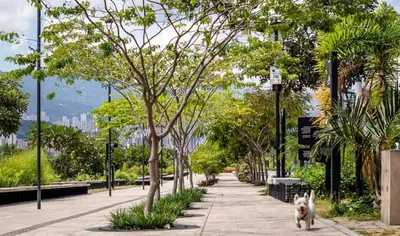 a dog walking down a sidewalk in a park at Apartamento con excelente ubicación, Laureles in Medellín