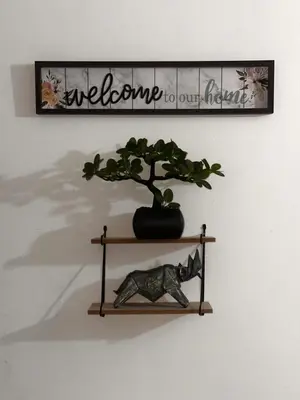 a shelf with a plant on a wall at Excelente Apartamento en Medellín sector Florida Nueva - Estadio in Medellín