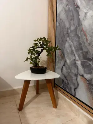 a potted plant sitting on a table next to a painting at Excelente Apartamento en Medellín sector Florida Nueva - Estadio in Medellín