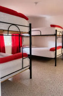a group of bunk beds in a room at Hostal Abba in Medellín